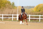 SBM_009332