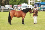 SBM_00540