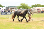 SBM_03563