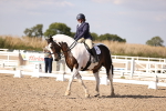 SBM_08029