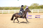 SBM_000719