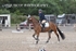 BPP_7799