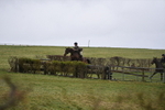 WJ5_4359