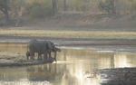 Zikomo bush camp