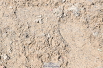 250614A-131140-06623