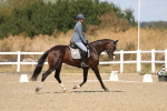 SBM_013608