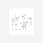 Deer - Holkham, Holkham