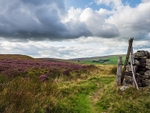 Haworth Moor
