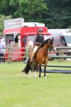 SBM_08618