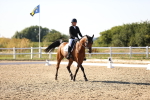 SBM_007639