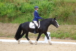 Pendarves Summer Dressage Series 11.06.2025 portfolio