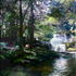 Dejueuner, Garwin Falls (detail)