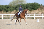 SBM_020214