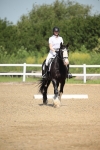 SBM_007993