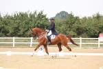 SBM_007383