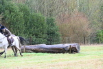 WJ6_4748