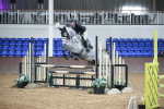 SBM_000096