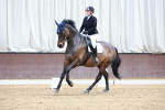 SBM_008269