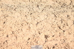 241023A-142852-01053