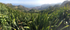 St Helena Island Sandy Bay view