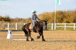 SBM_003272