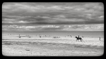 Norfolk iPhone - 35