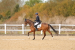 SBM_010585