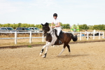 SBM_002520