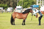 SBM_00523