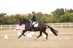 SBM_009601