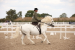SBM_05339