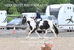 BPP_0114