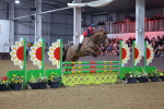 SBM_006400