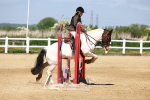 SBM_007256