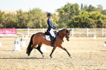 SBM_016958