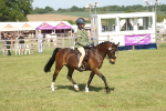 SBM_09217