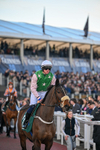 130326-Race 6-Willewonga-3134