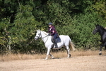 WJ6_8145