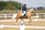 SBM_006137