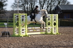 Unaffiliated Show Jumping portfolio