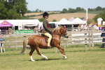 SBM_07678