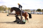 SBM_001571