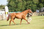 SBM_10455