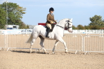 SBM_17475