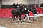 JAC_6258