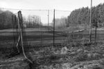 Tennis Club 3