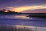 <center>Snape Marshes</center><br>