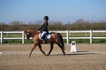 SBM_001172