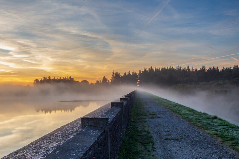Morning Mist over Vartry Reservoir, Co Wicklow