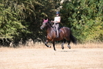 WJ6_8634